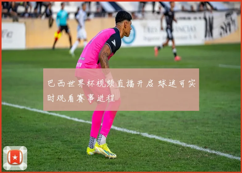 巴西世界杯视频直播开启 球迷可实时观看赛事进程
