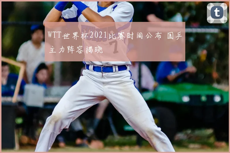 WTT世界杯2021比赛时间公布 国乒主力阵容揭晓